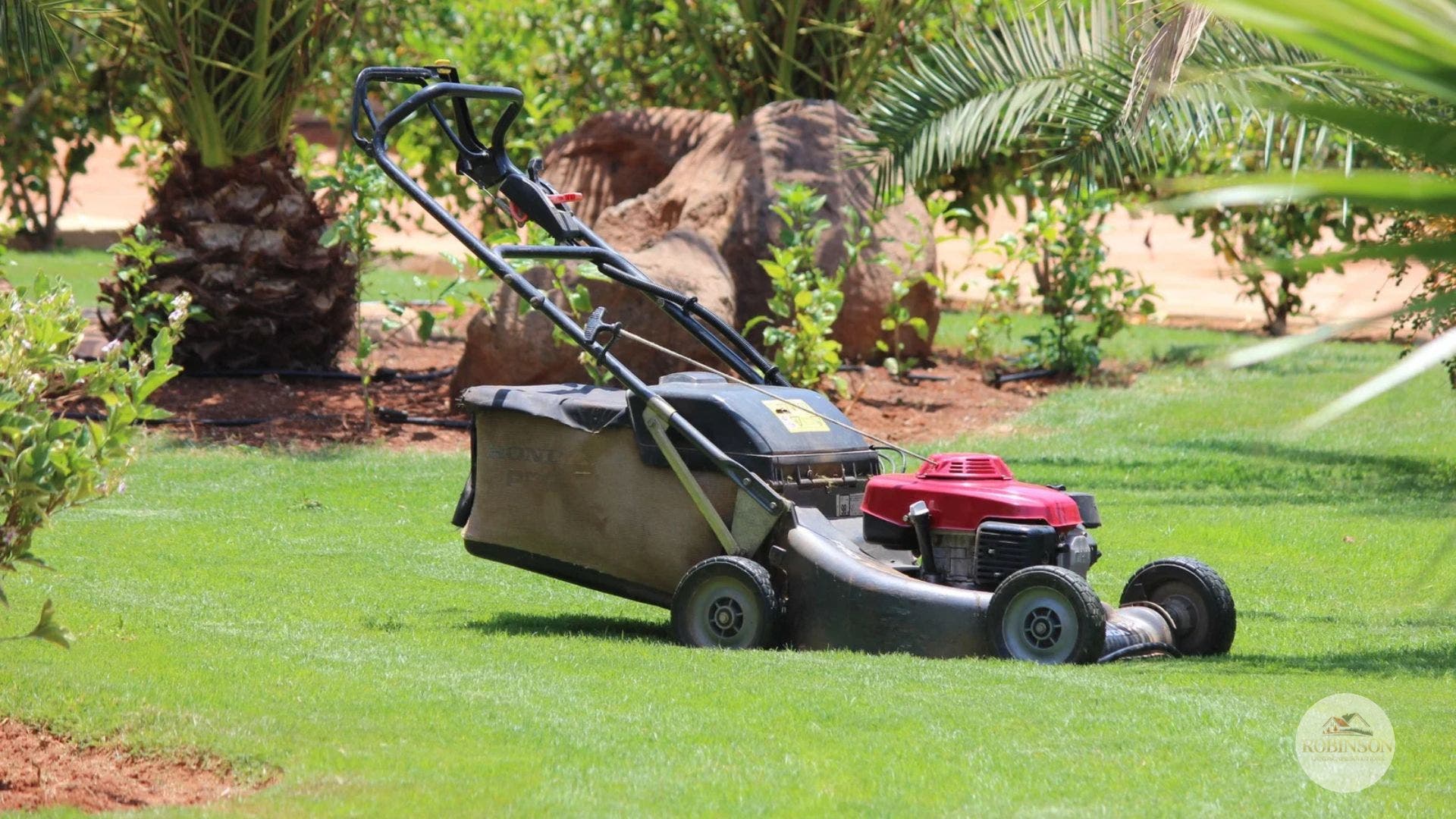 Is Your Yard Holding Your Home Back?