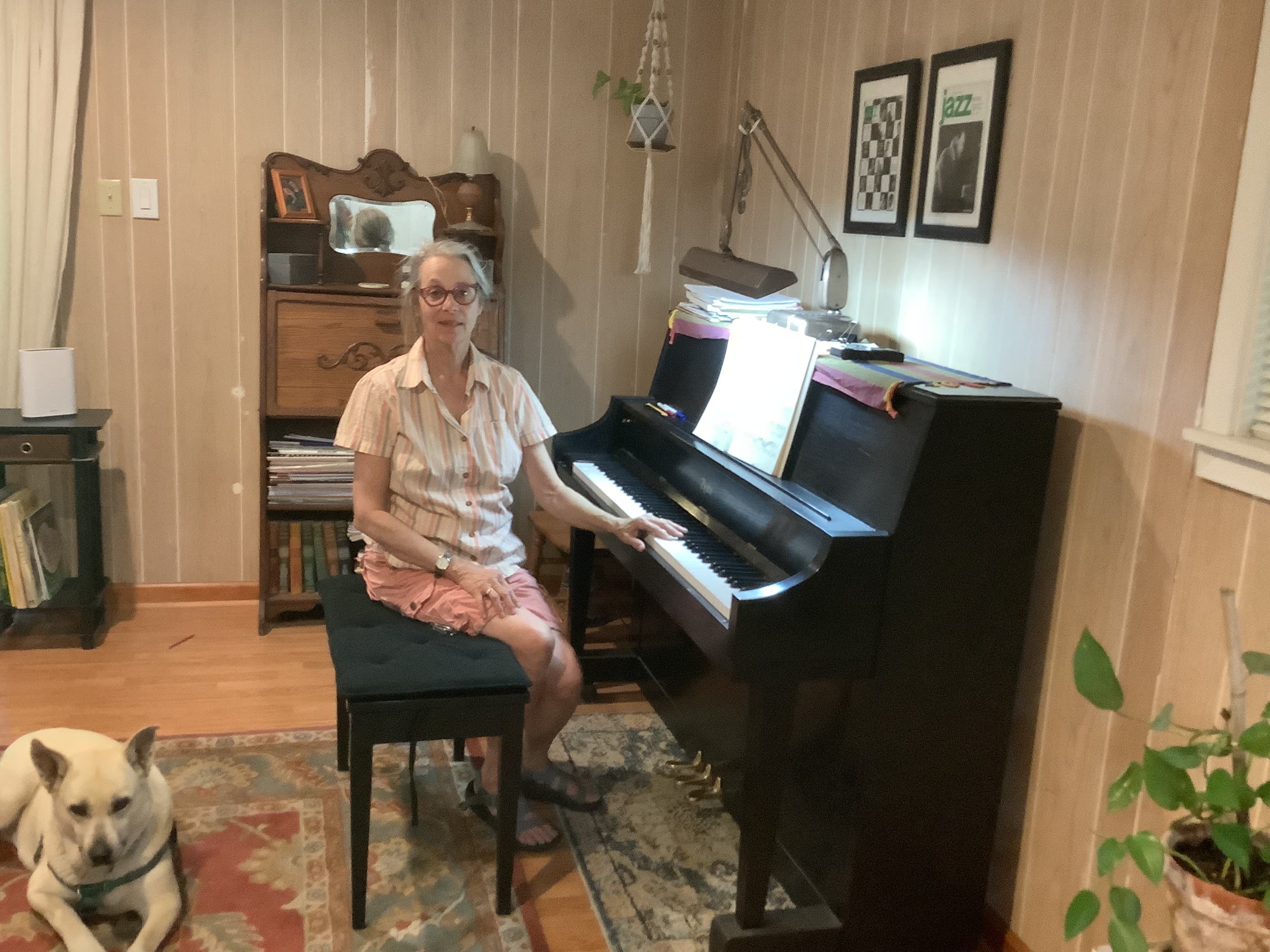 Piano Lessons 