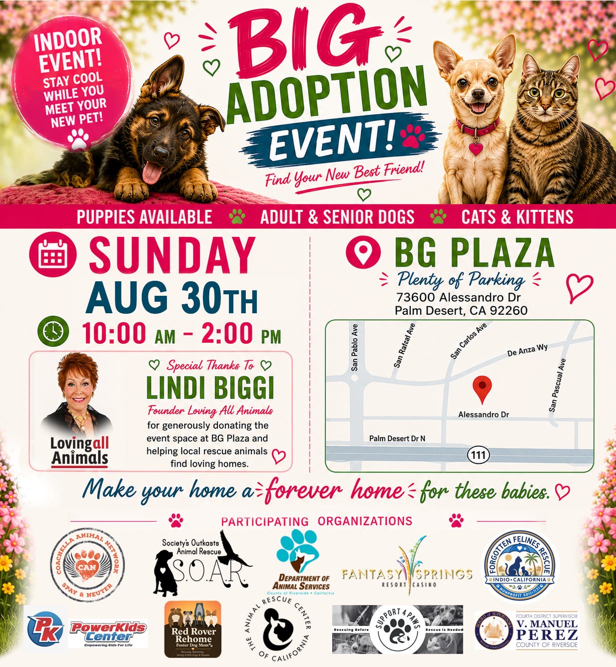 Big Adoption Event!