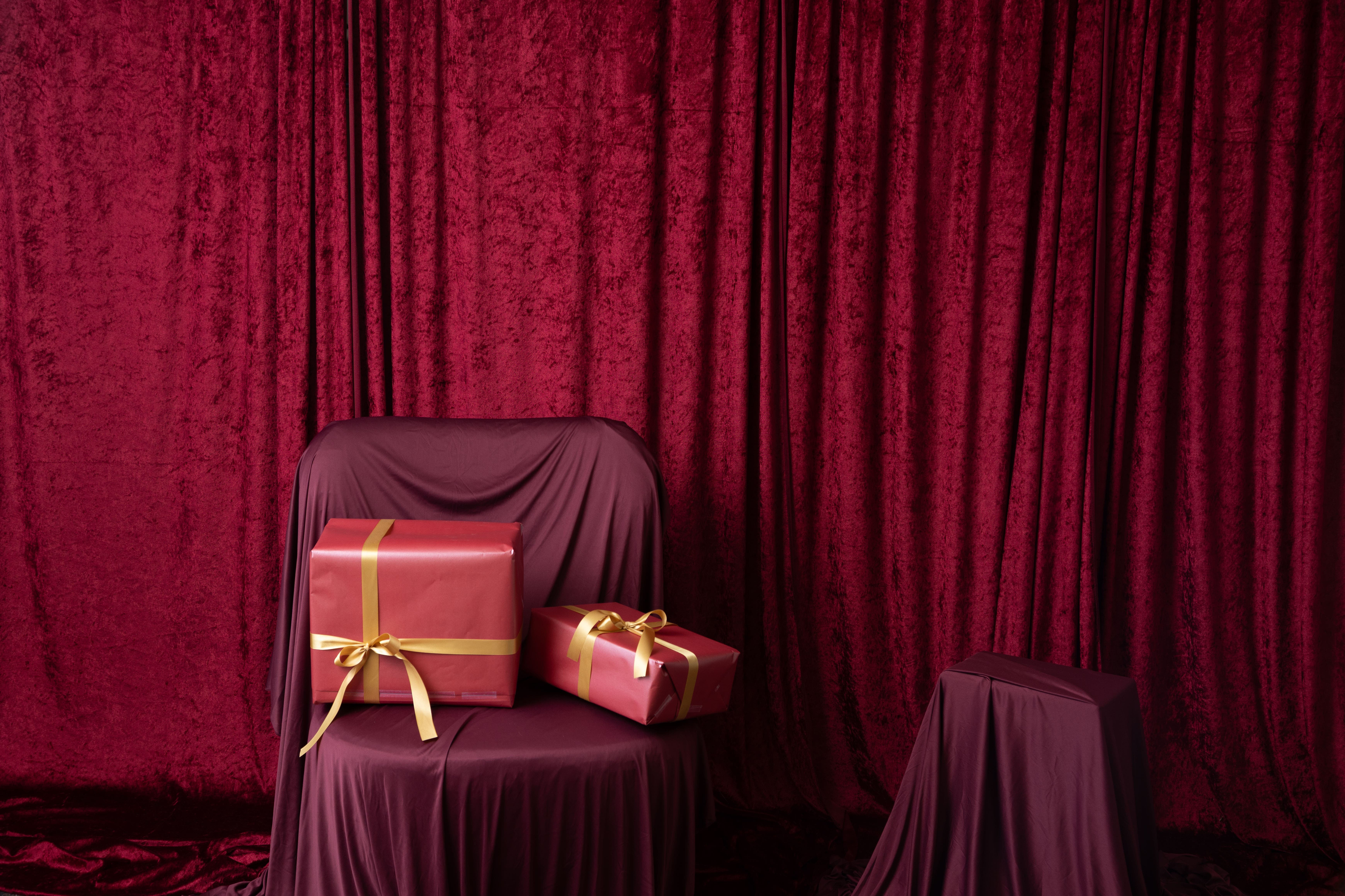 A Very Velvet Christmas | Holiday Mini Sessions