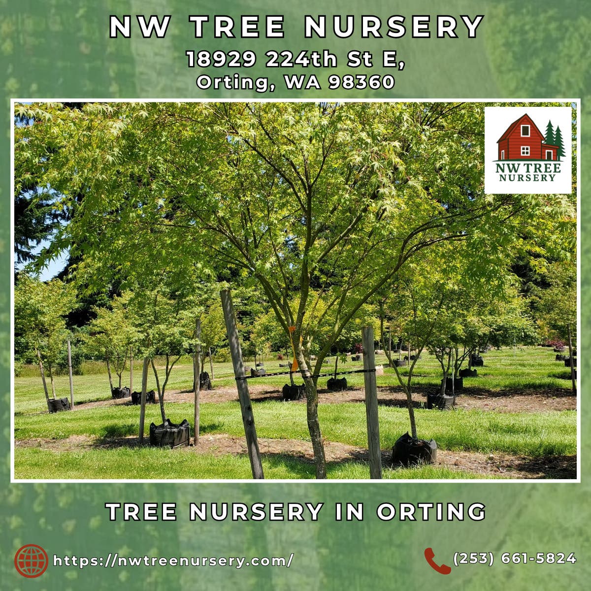 Tree Nursery in Orting - NW Tree Nursery