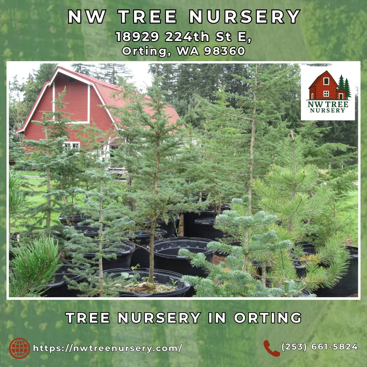 Tree Nursery in Orting - NW Tree Nursery