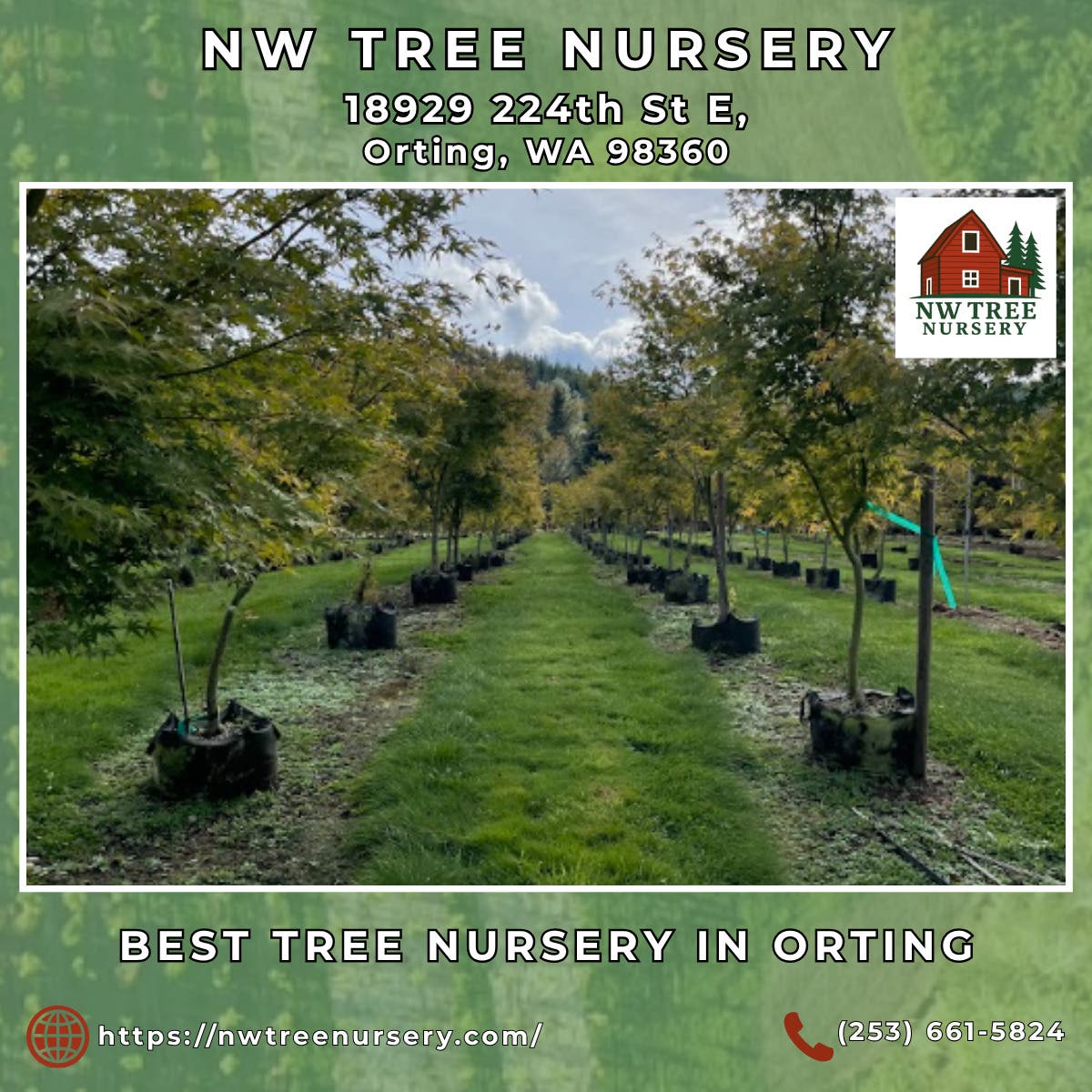 Best Tree Nursery in Orting - NW Tree Nursery