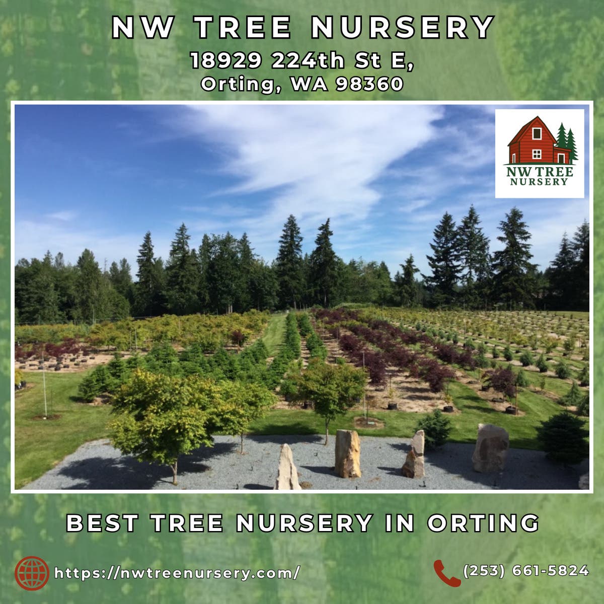 Best Tree Nursery in Orting - NW Tree Nursery