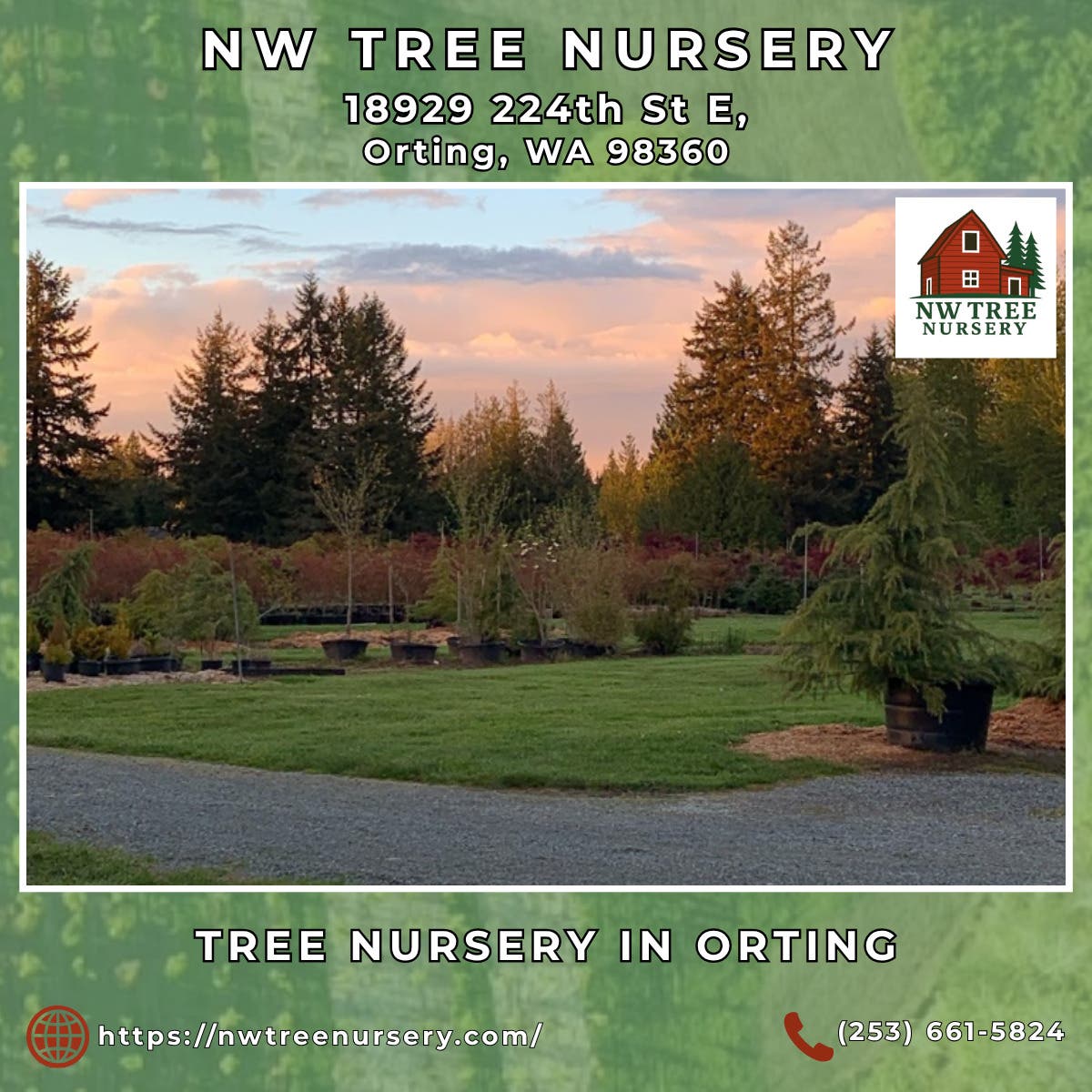 Tree Nursery in Orting - NW Tree Nursery