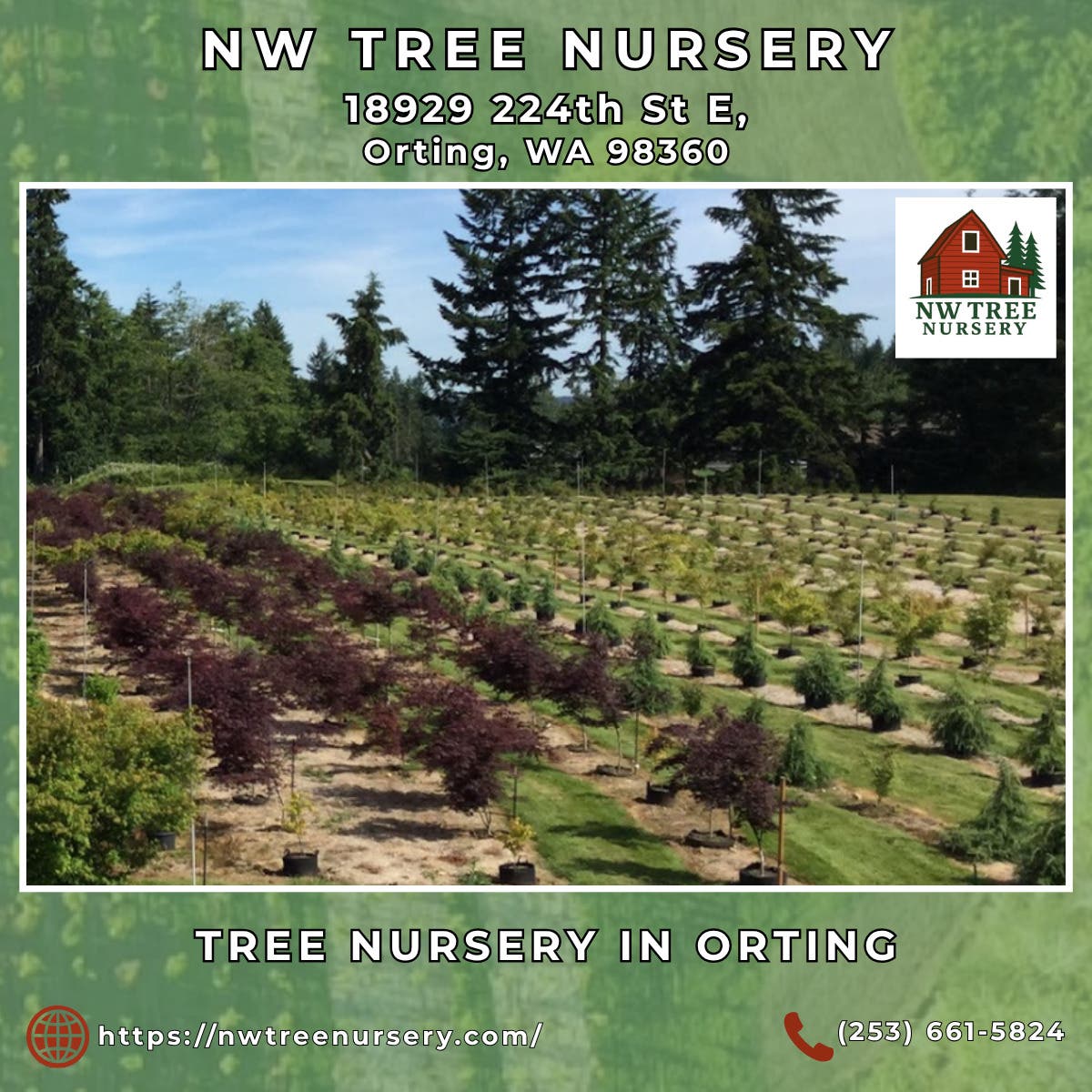 Tree Nursery in Orting - NW Tree Nursery