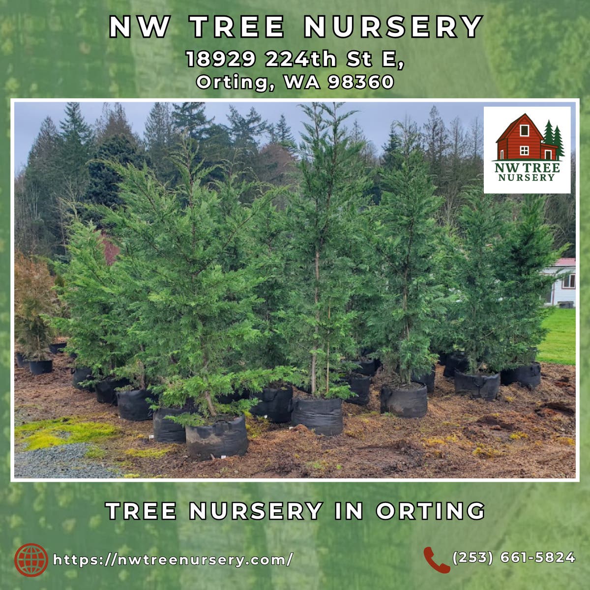 Tree Nursery in Orting - NW Tree Nursery