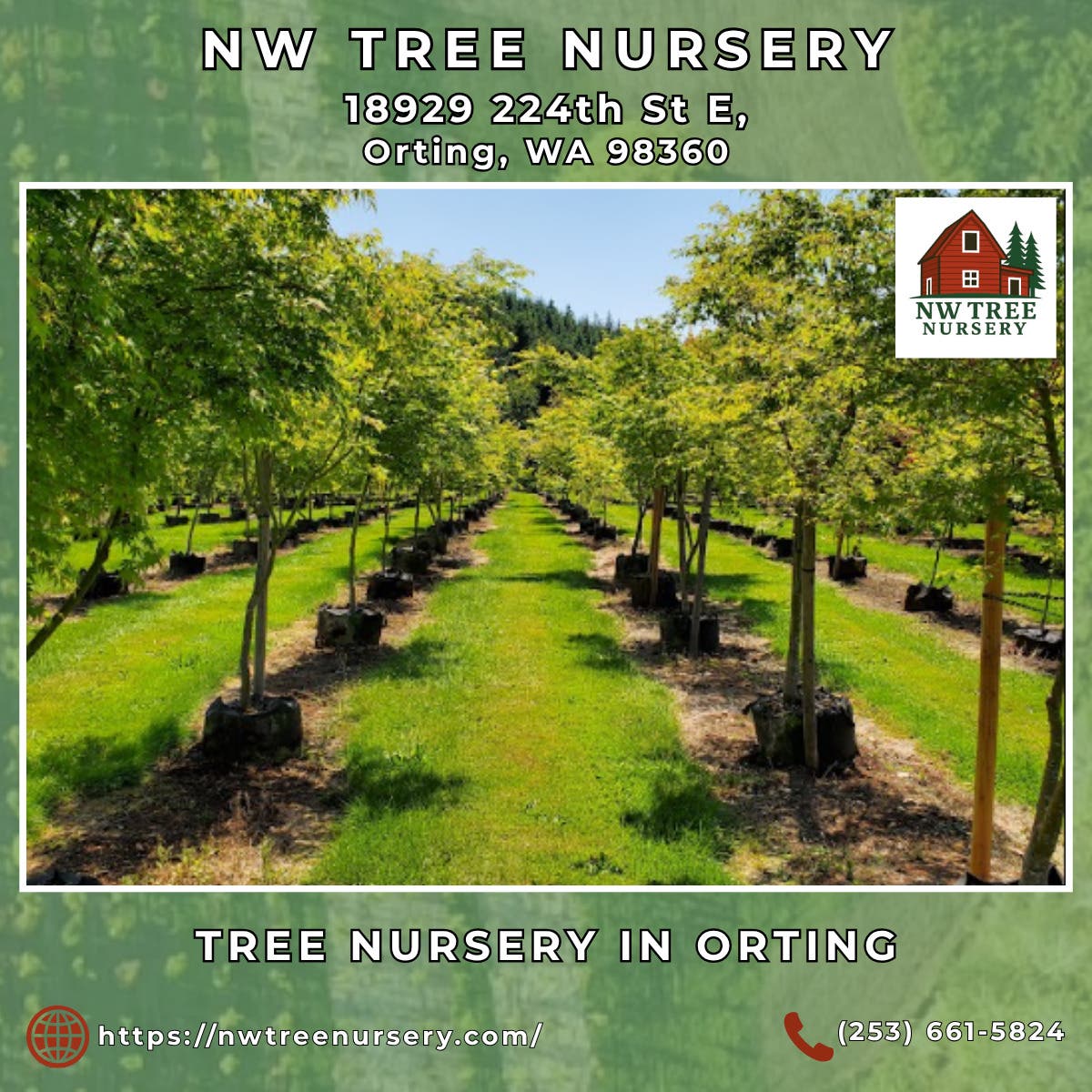 Tree Nursery in Orting - NW Tree Nursery