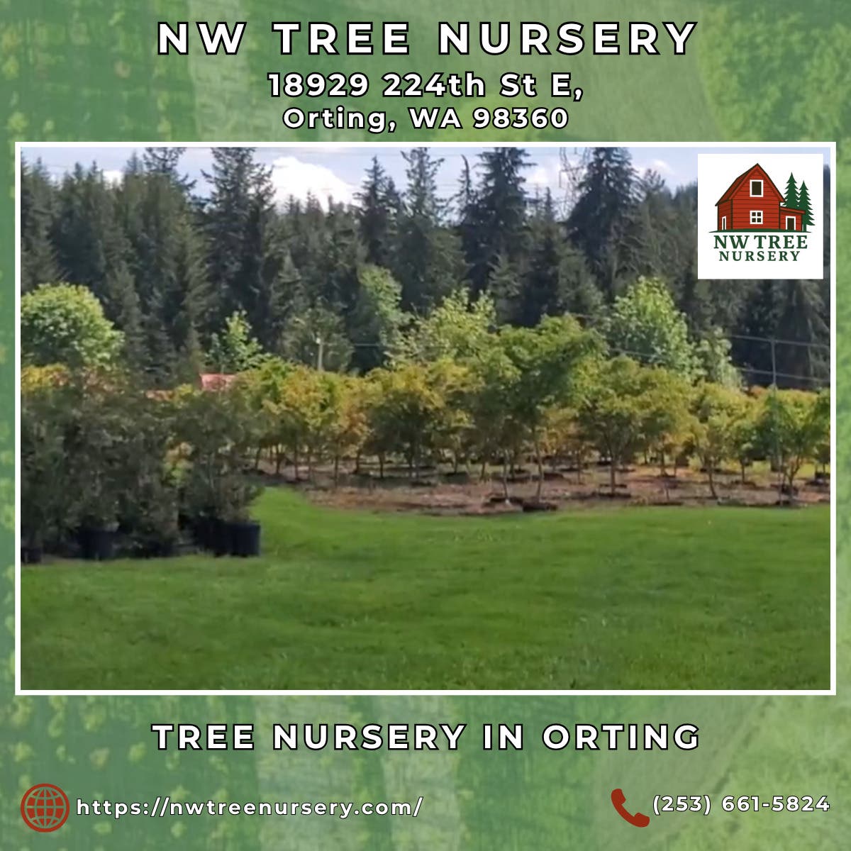 Tree Nursery in Orting - NW Tree Nursery