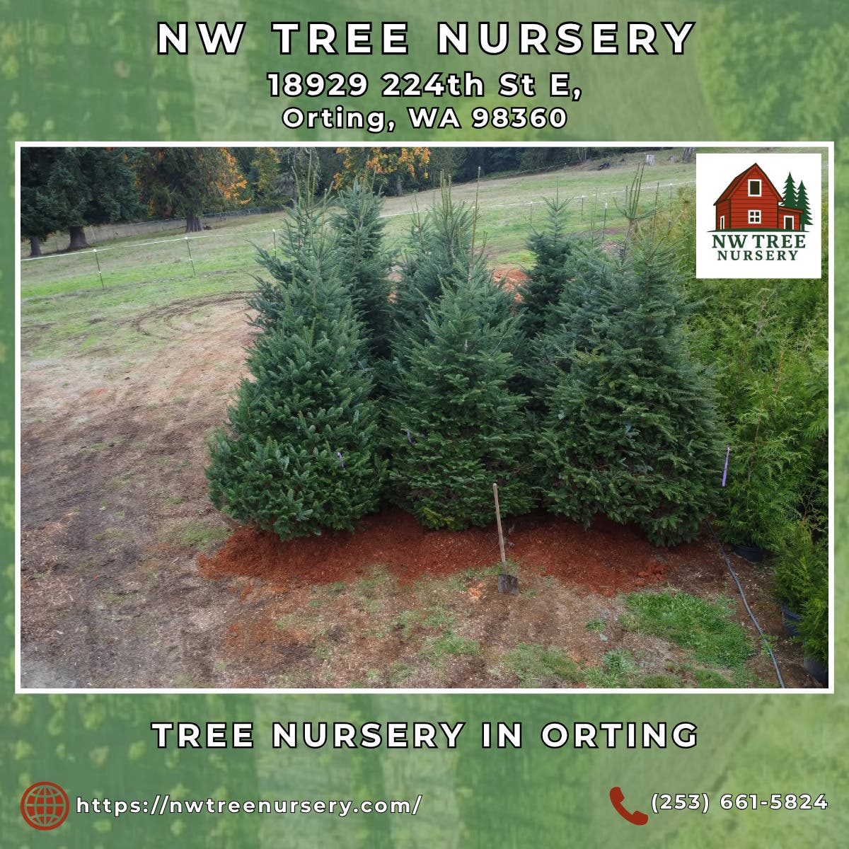 Tree Nursery in Orting - NW Tree Nursery