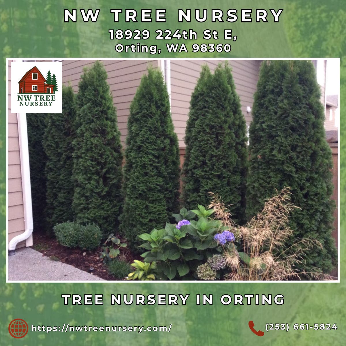 Tree Nursery in Orting - NW Tree Nursery