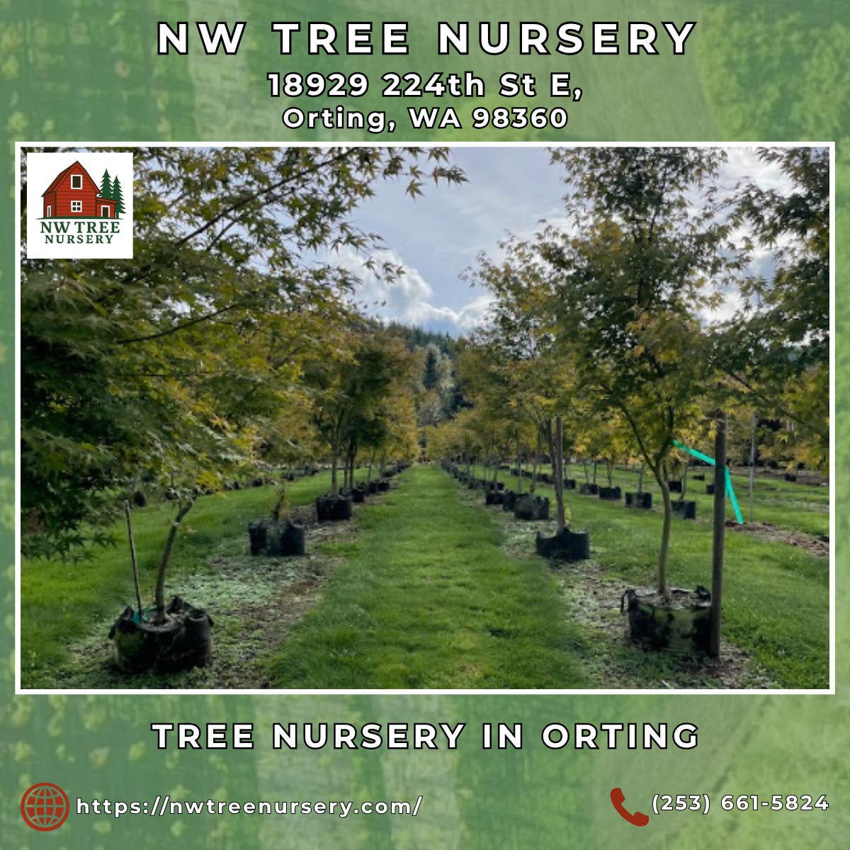 Tree Nursery in Orting - NW Tree Nursery