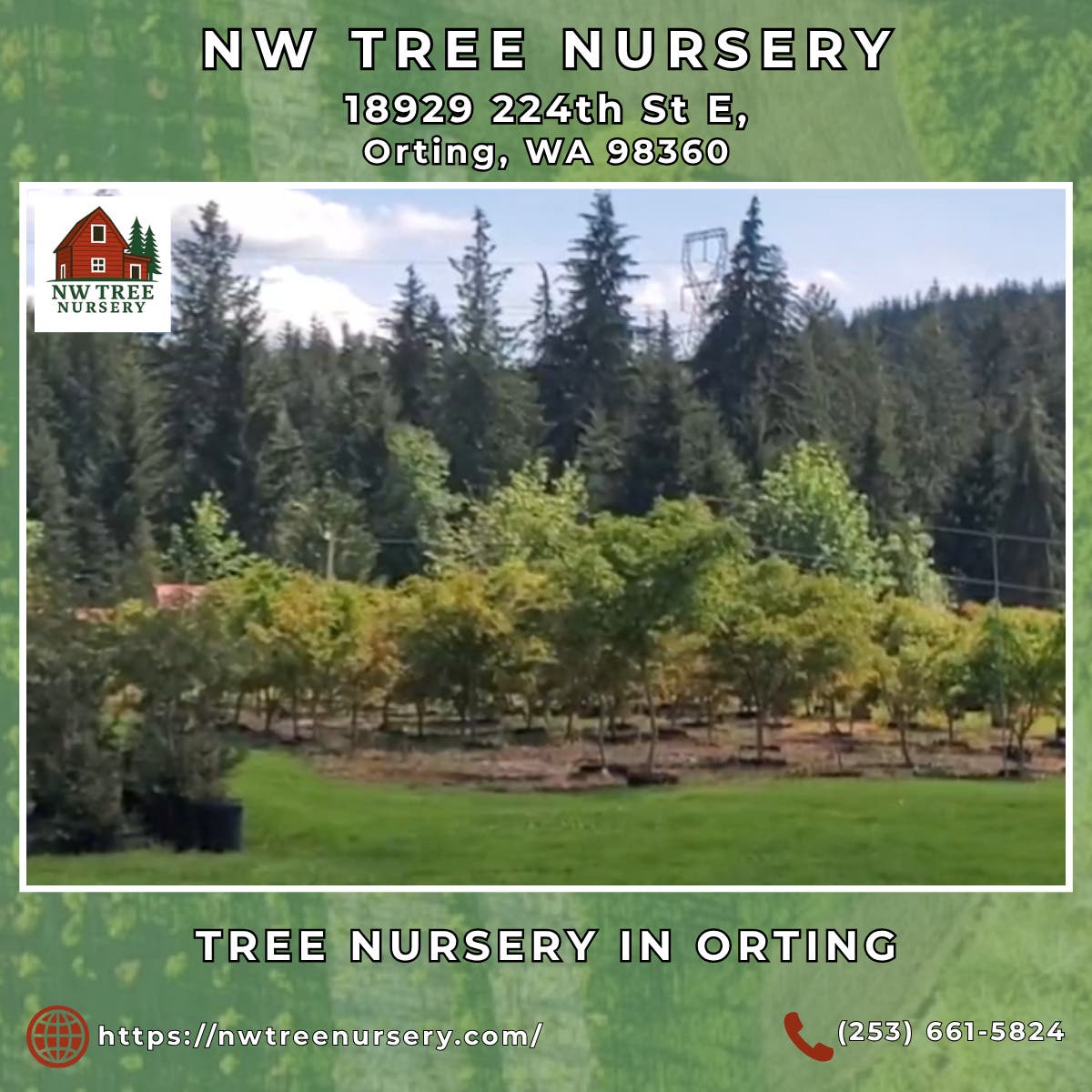 Tree Nursery in Orting - NW Tree Nursery