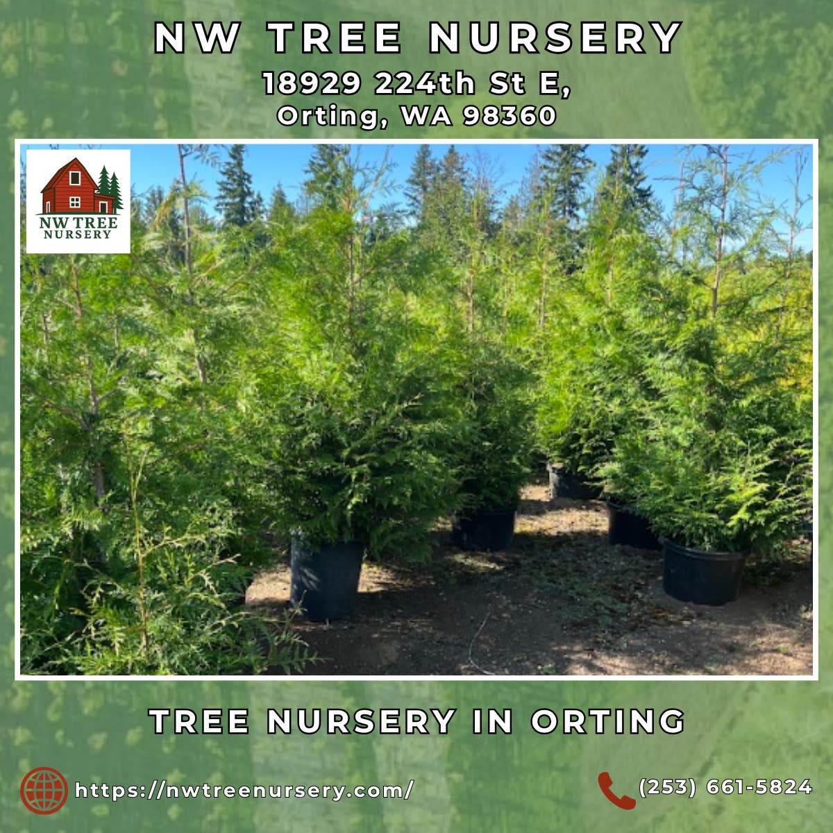 Tree Nursery in Orting - NW Tree Nursery