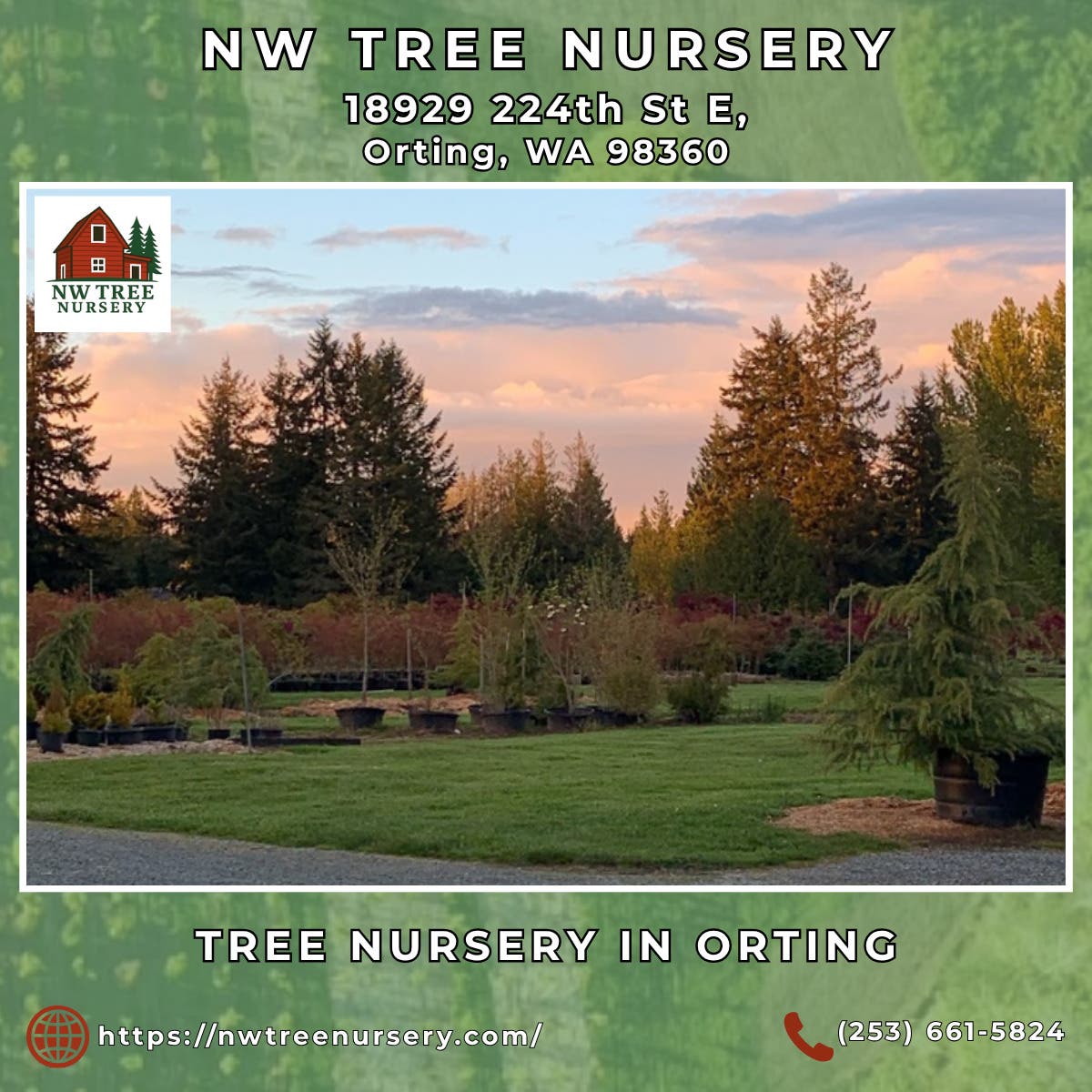 Tree Nursery in Orting - NW Tree Nursery