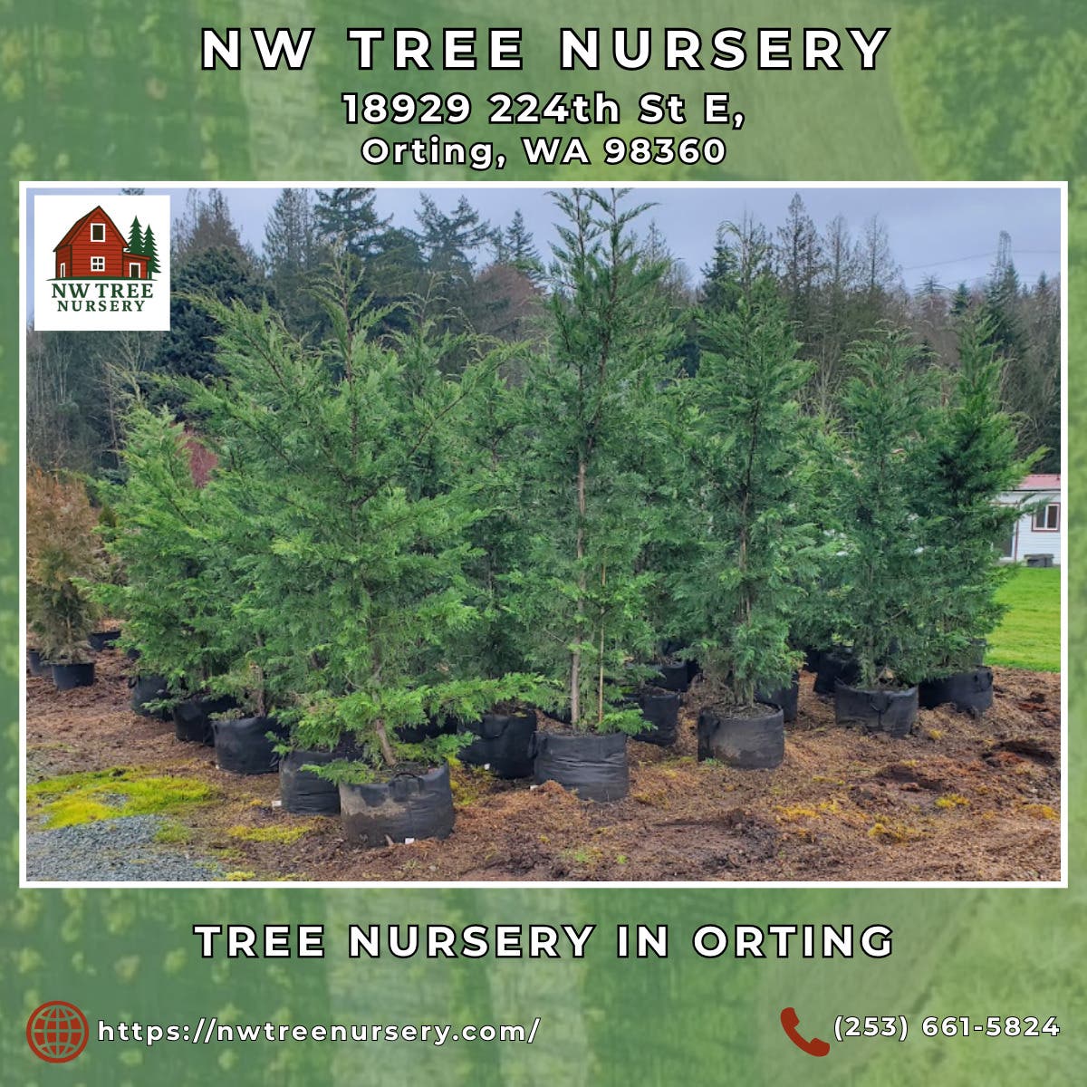 Tree Nursery in Orting - NW Tree Nursery