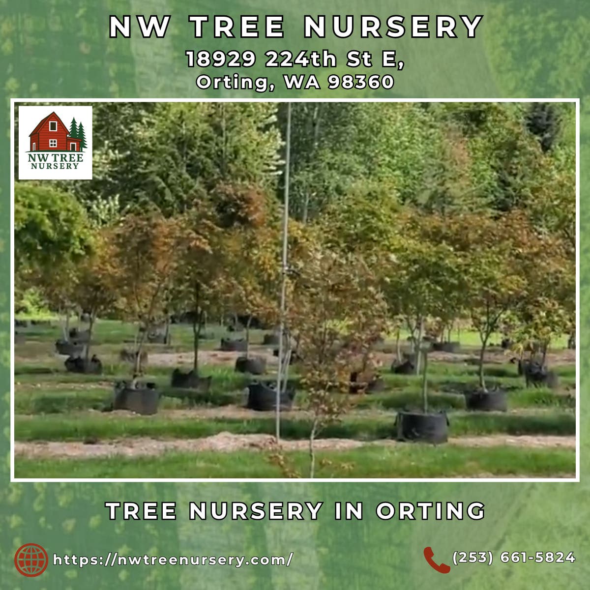 Tree Nursery in Orting - NW Tree Nursery