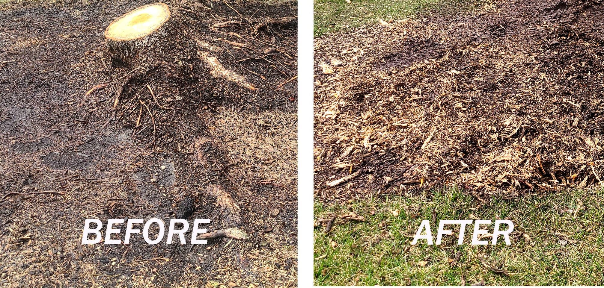 Got Stumps? Call Beaver Pro Stump Grinding, LLC