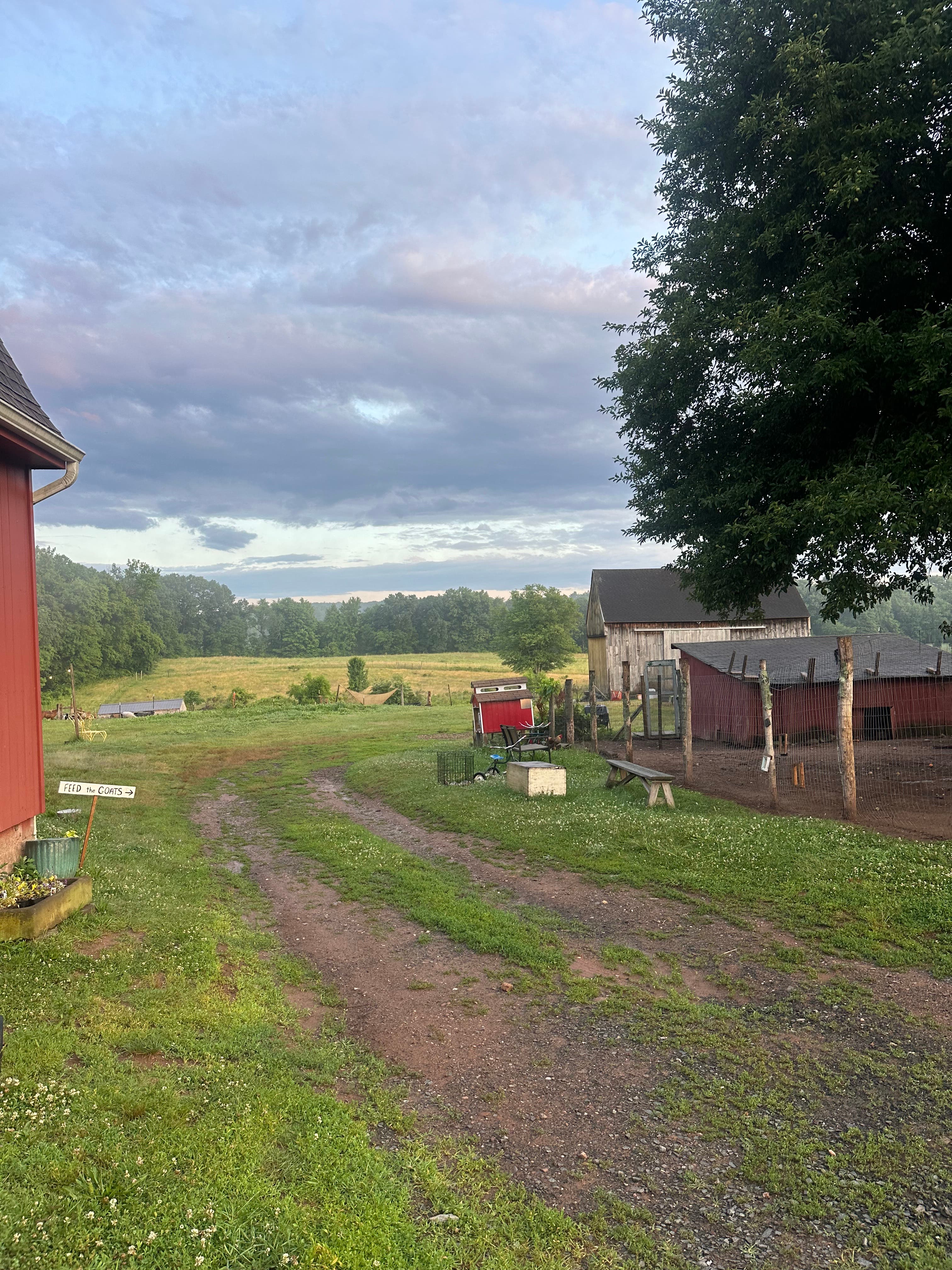 Morning Yoga Class at the Farm