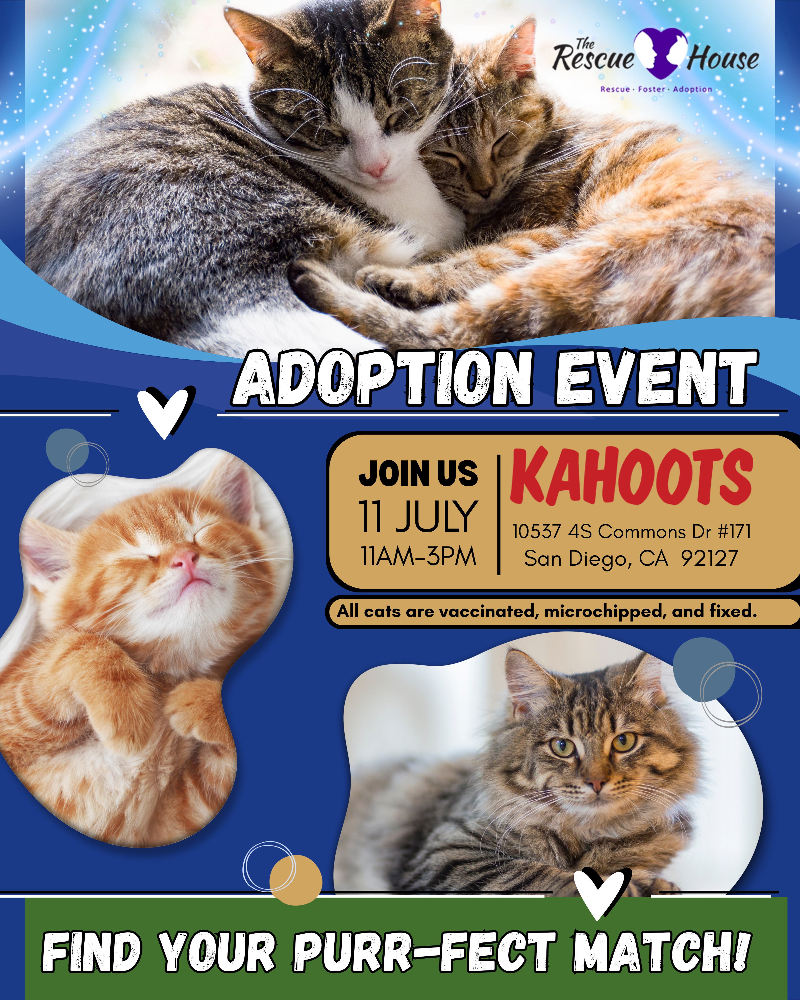 Cat and kitten adoption fair