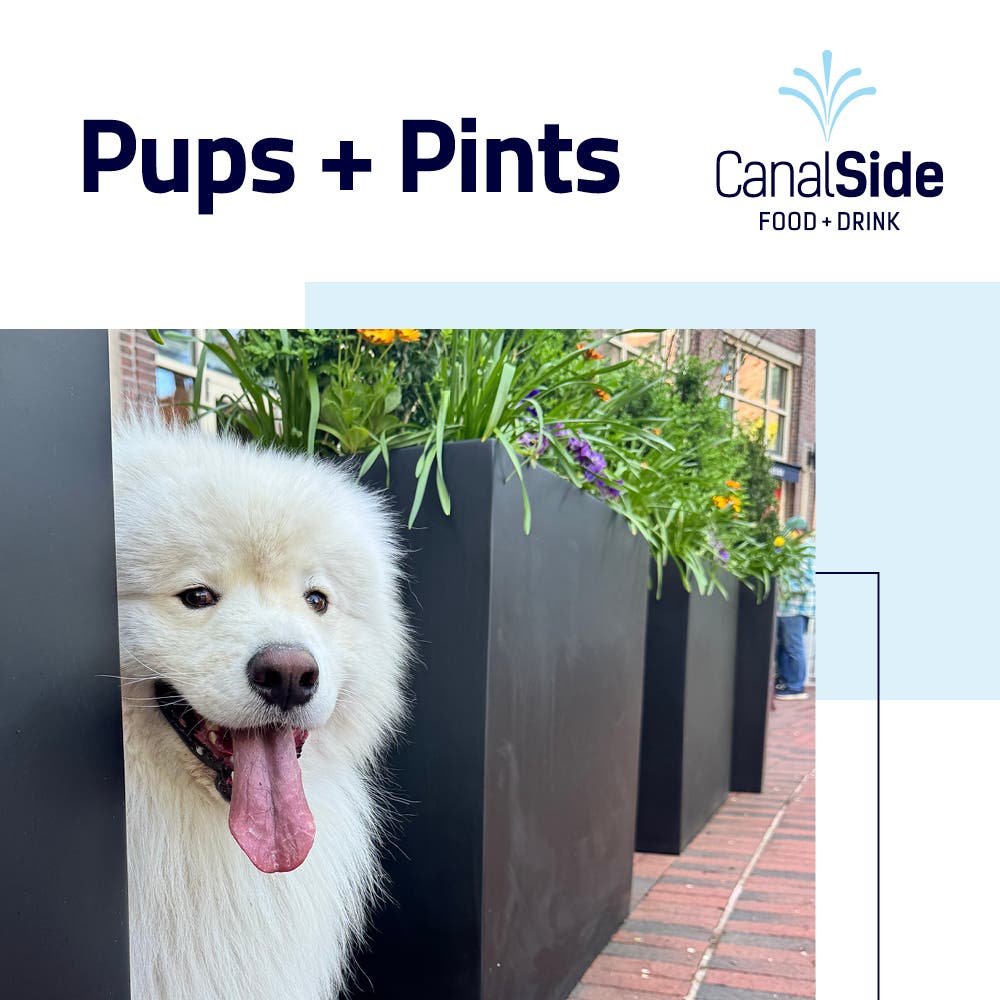 Pups + Pints at CanalSide Food + Drink
