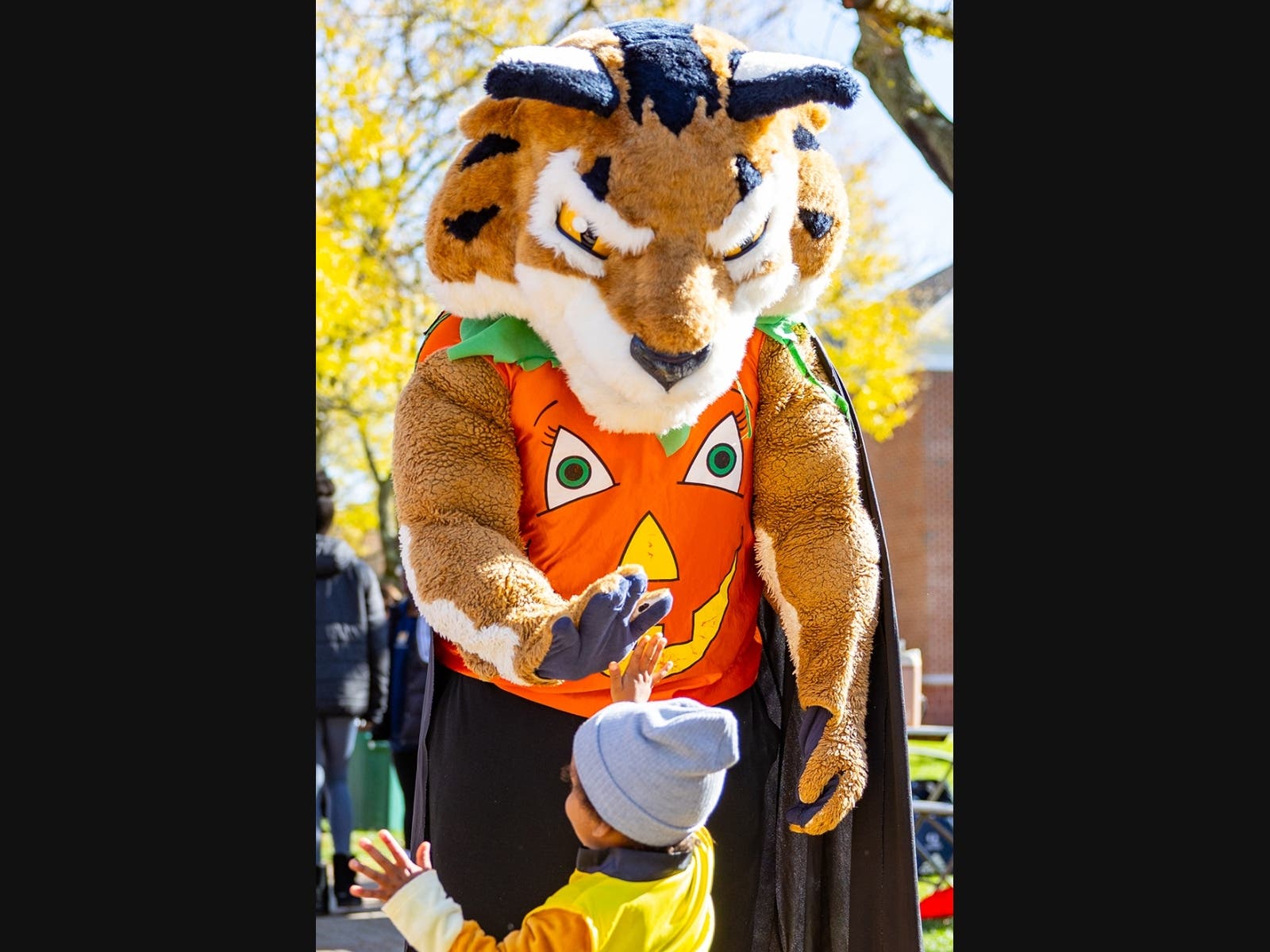 Boomer The Bobcat high fives one of the many children who attended Boomer’s Boo Bash last year.