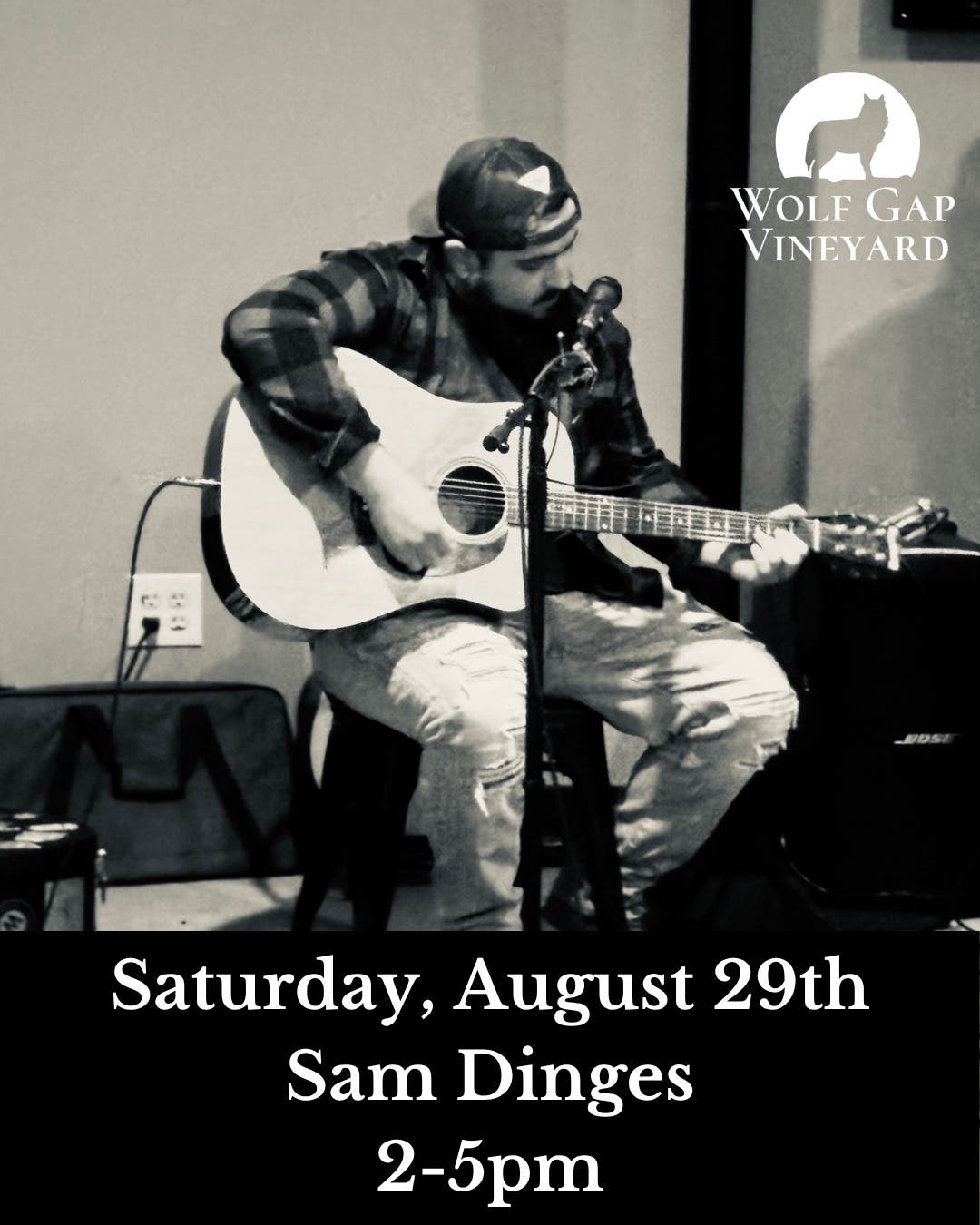 Sam Dinges at Wolf Gap Vineyard