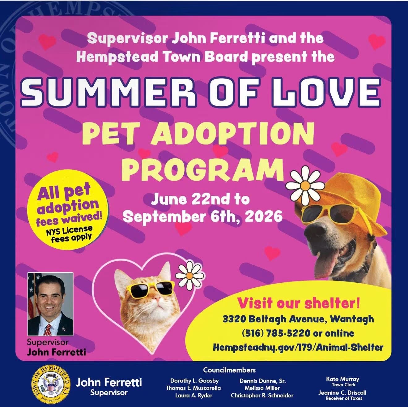 Summer Of Love Pet Adoption Program