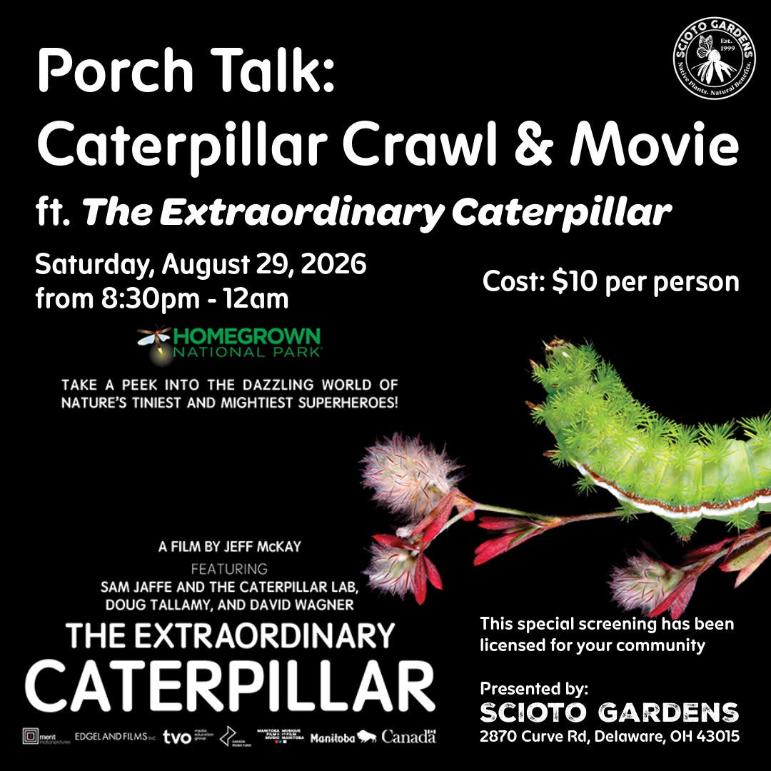 Porch Talk: Caterpillar Crawl & Movie