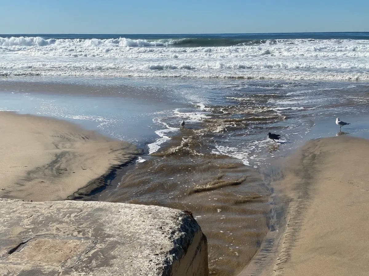 Los Angeles County health officials issued ocean water warnings at several beaches after testing found elevated bacteria levels.