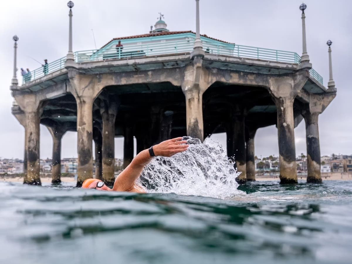 Millions Of Jellyfish Couldn't Stop South Bay Swimmer From Conquering English Channel