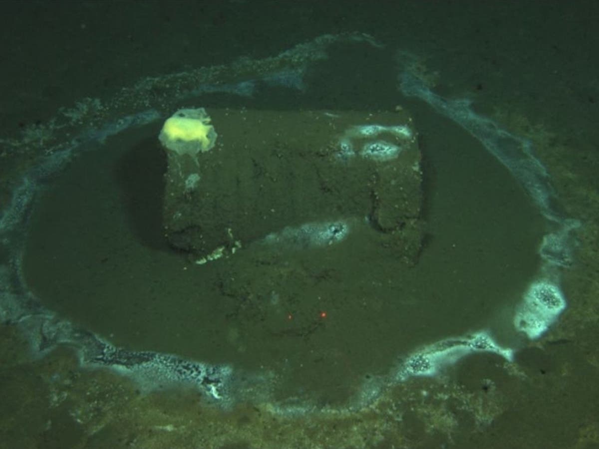 A discarded industrial waste barrel rests on the ocean floor near Catalina Island, where decades of offshore dumping have left a legacy of contamination.