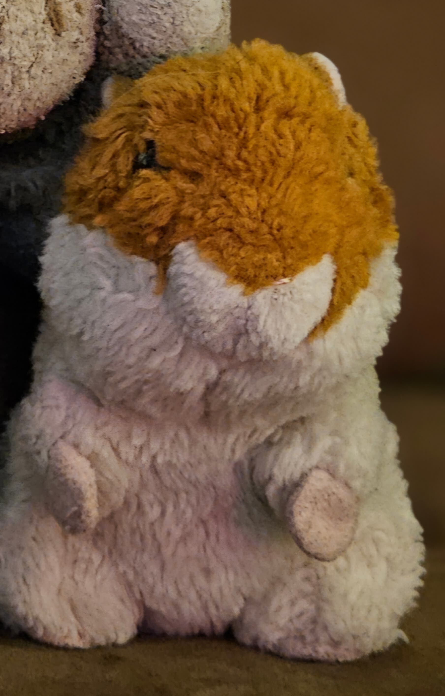 Lost Stuffed Hamster- Reward
