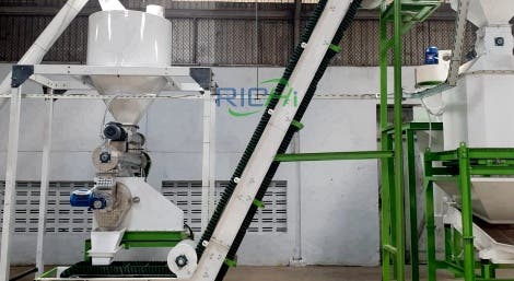 Why Automated Cat Litter Plants Are Reshaping Modern Pet Product Manufacturing