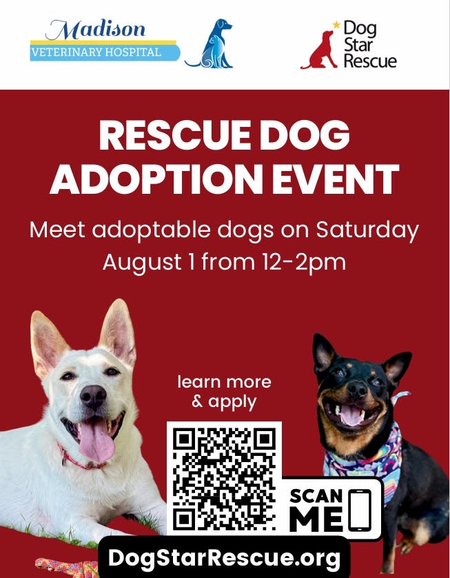 Dog Star Rescue Event