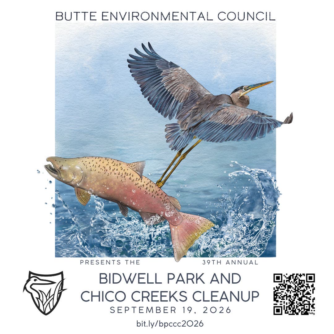 Annual Bidwell Park and Chico Creeks Cleanup