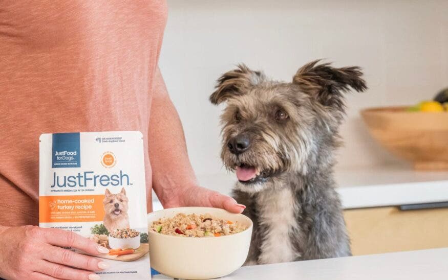 DOGust Adoption Event at JustFoodForDogs