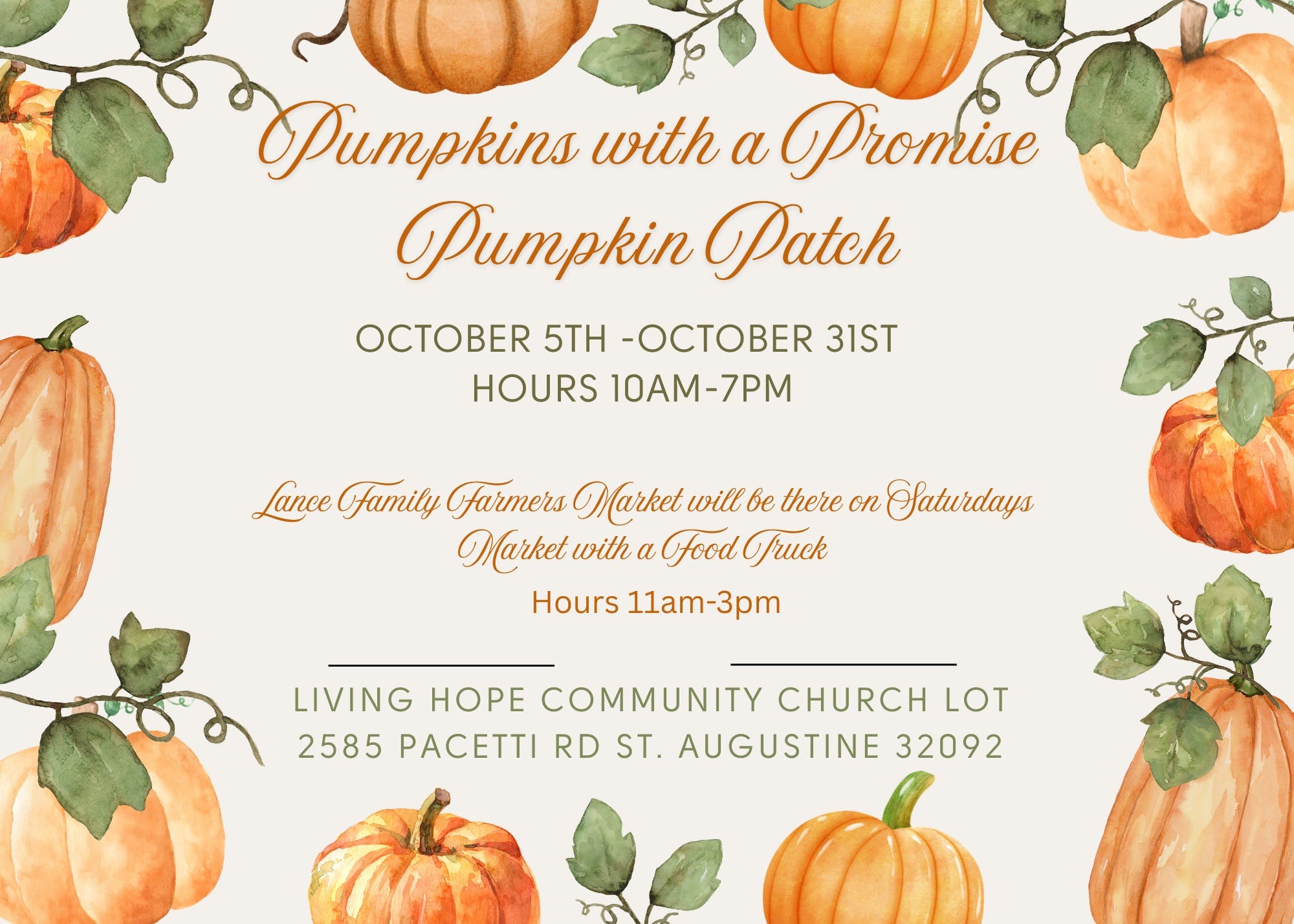 Pumpkins with a Purpose Pumpkin Patch with Lance Family Farmers Market