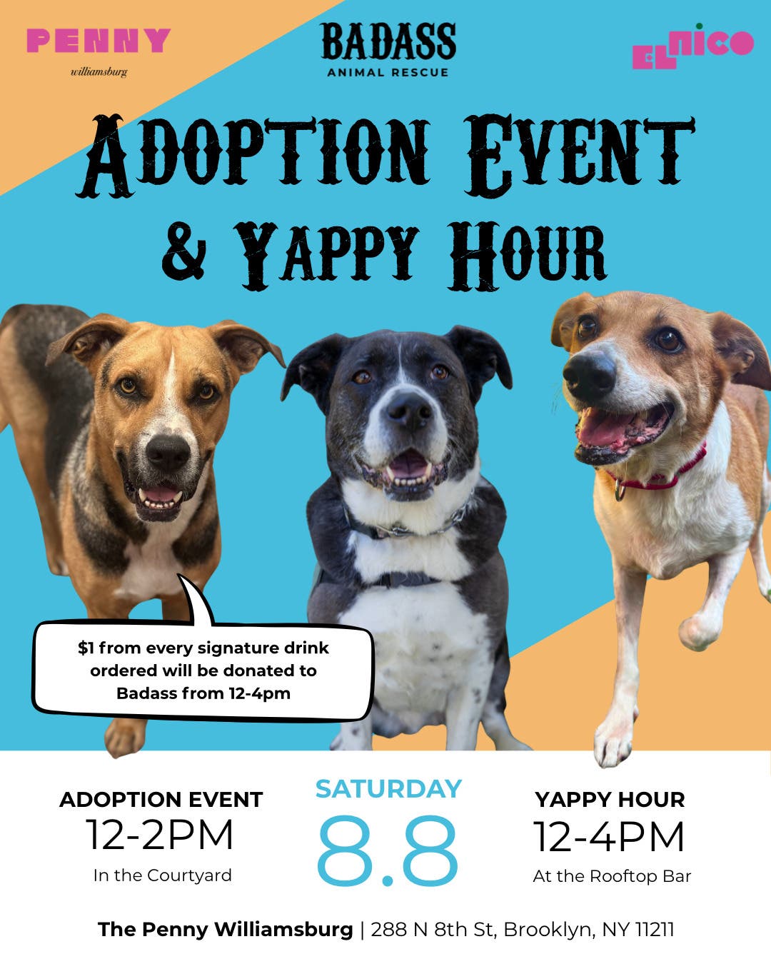 Adoption Event & Yappy Hour at The Penny Williamsburg
