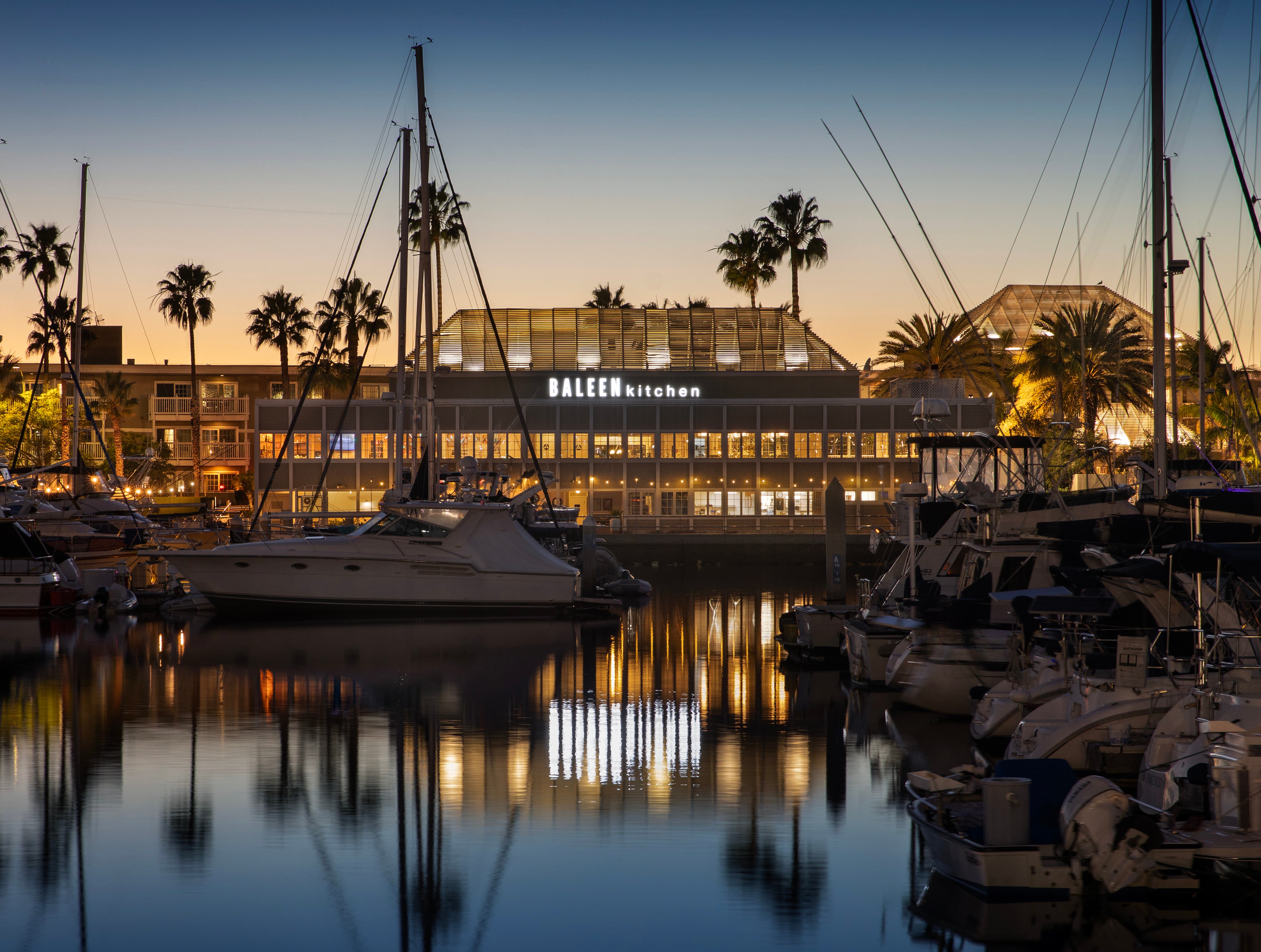 Dockside Drafts at Baleenkitchen