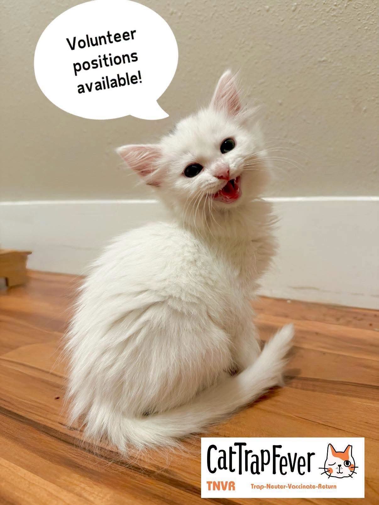 Volunteer positions available!