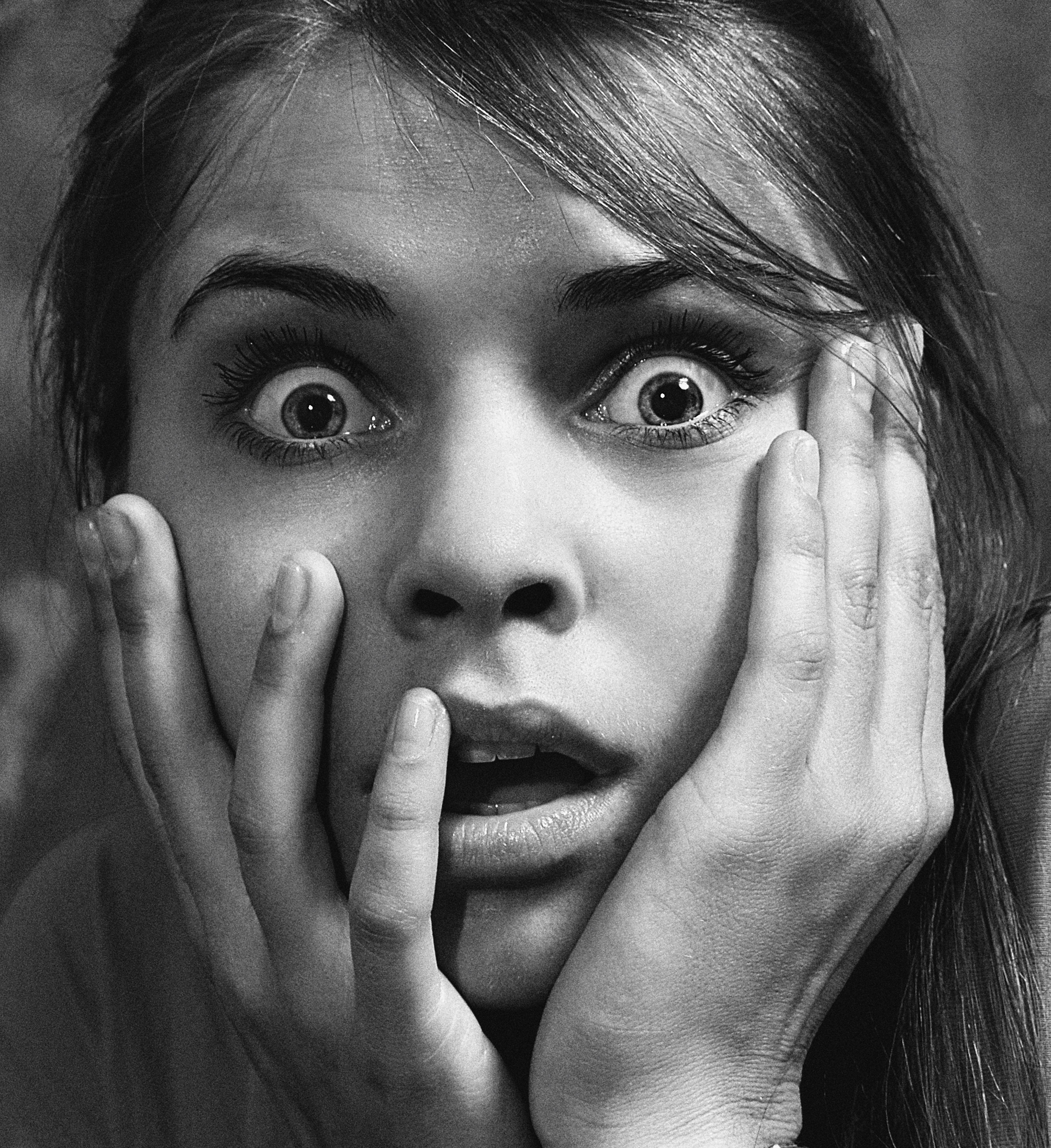 Humor Mill Toastmasters National Face Your Fears Day