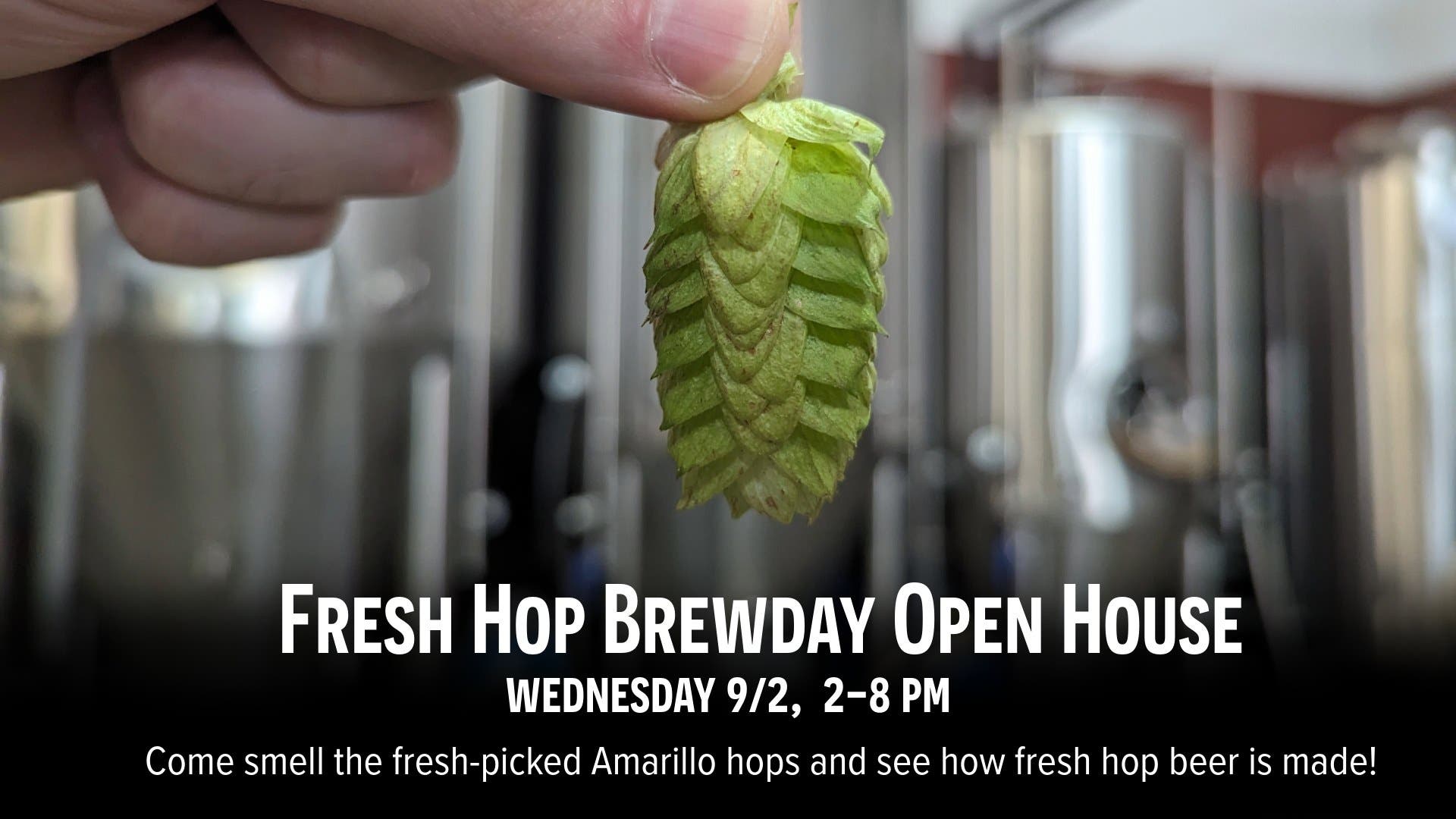 Fresh Hop Brewday Open House
