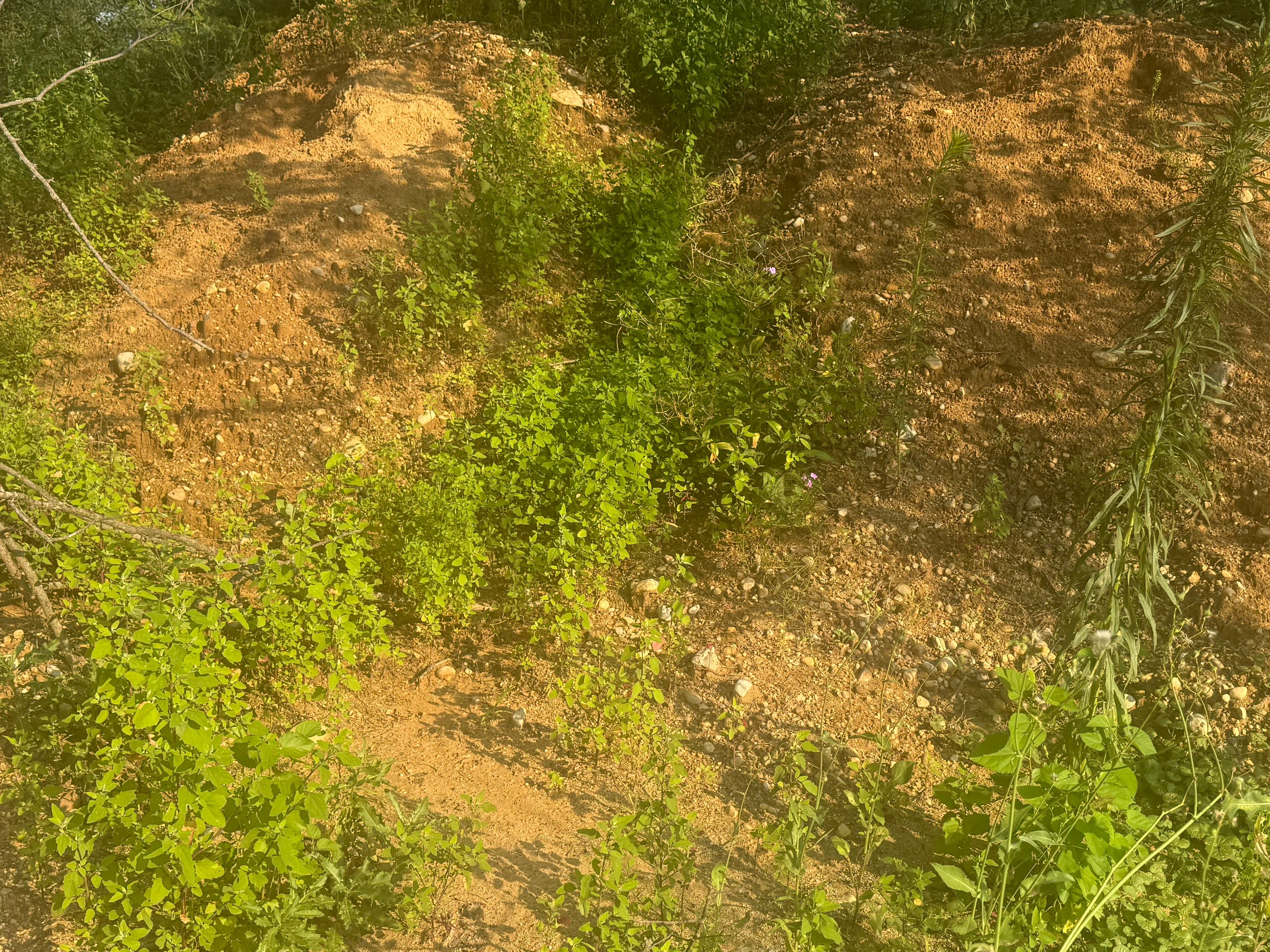 Free Sand/Fill Dirt-Contractor Pickup-All Must Go-McHenry County