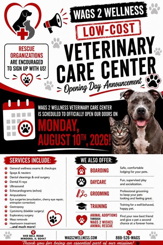 Wags 2 Wellness: Your Pet's New Veterinary Home