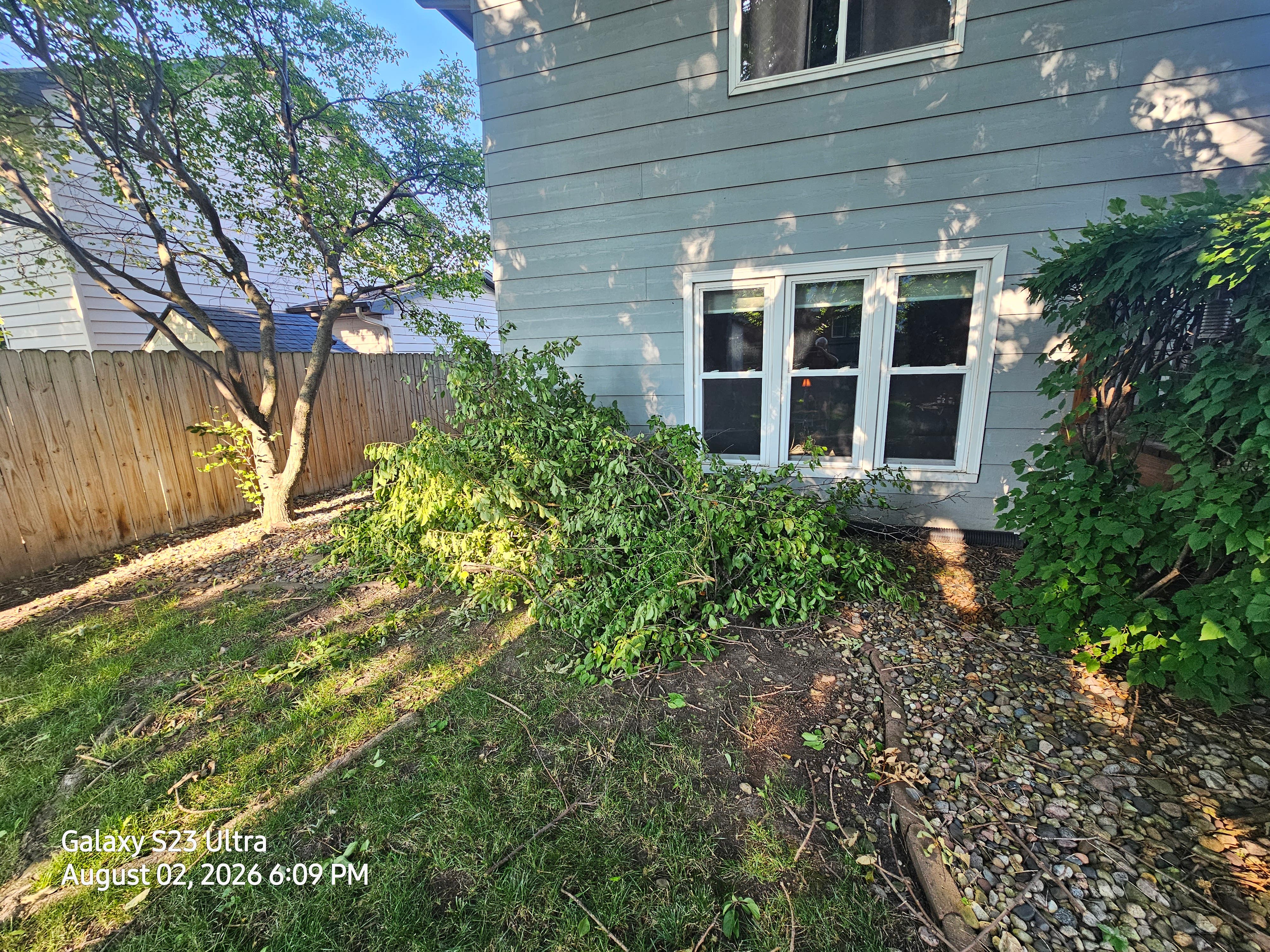 Tree branch trimming near roof line.