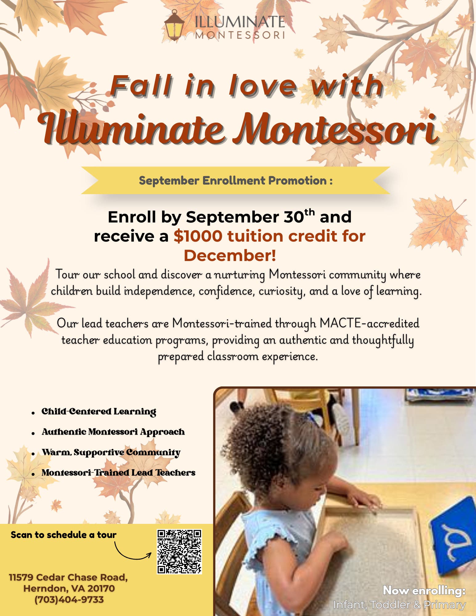Fall In Love With Illuminate Montessori