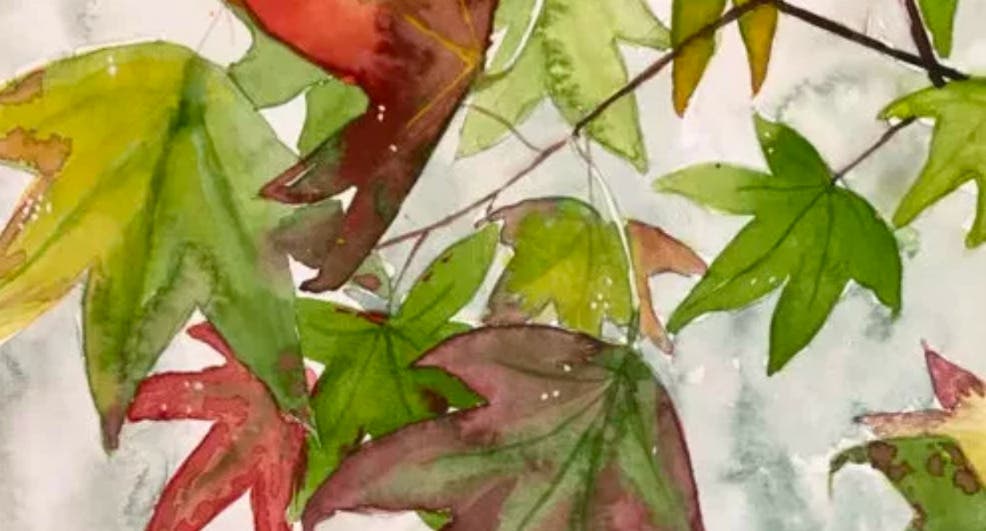 Art in the Marsh - Sketching Fall Leaves