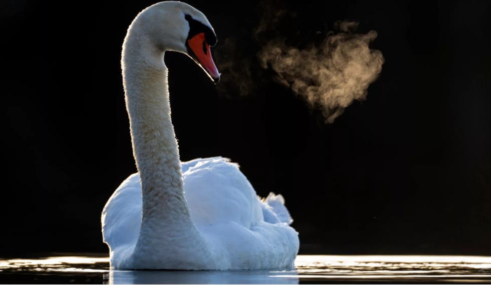 Artist Reception: Jerry Flynn Photography