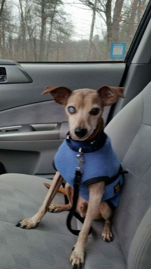 News small post card thumbnail